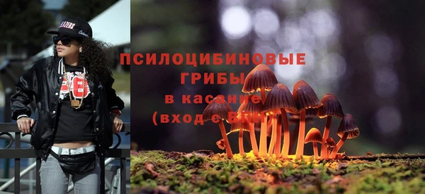 мескалин Богородицк
