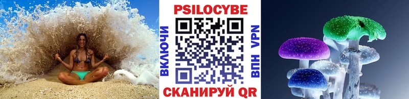 omg Уссурийск Псилоцибиновые грибы Magic Shrooms