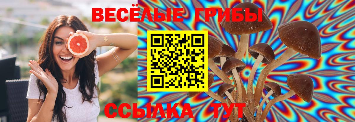 Псилоцибиновые грибы ЛСД Уссурийск